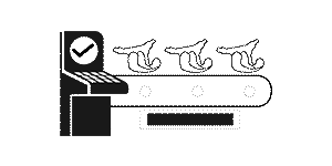 18 linhas de produção